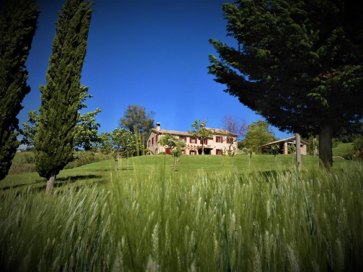 Quelli Del Picchio Bed & Breakfast Cupramontana Ngoại thất bức ảnh