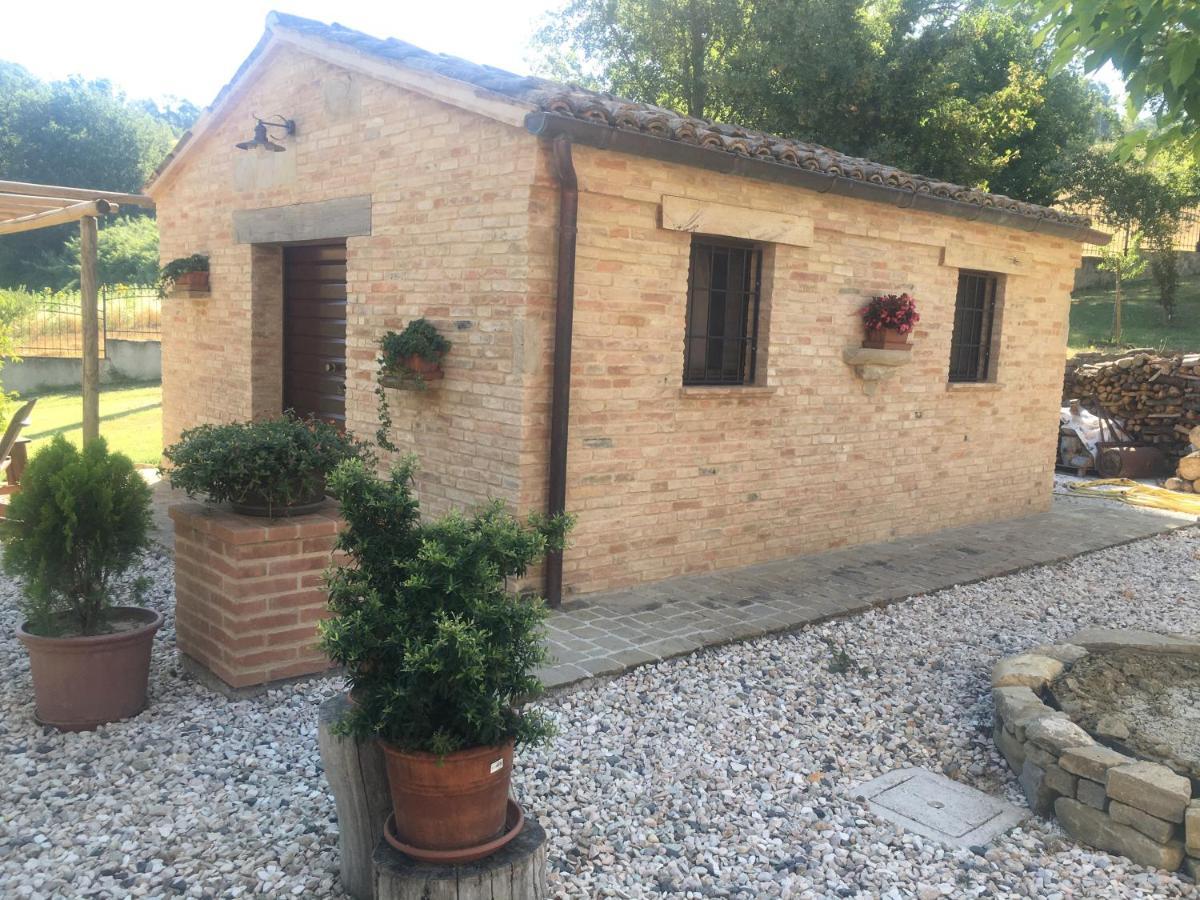 Quelli Del Picchio Bed & Breakfast Cupramontana Ngoại thất bức ảnh